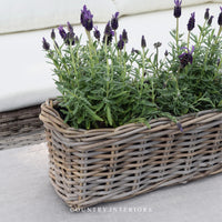 Rectangular Rattan Planter
