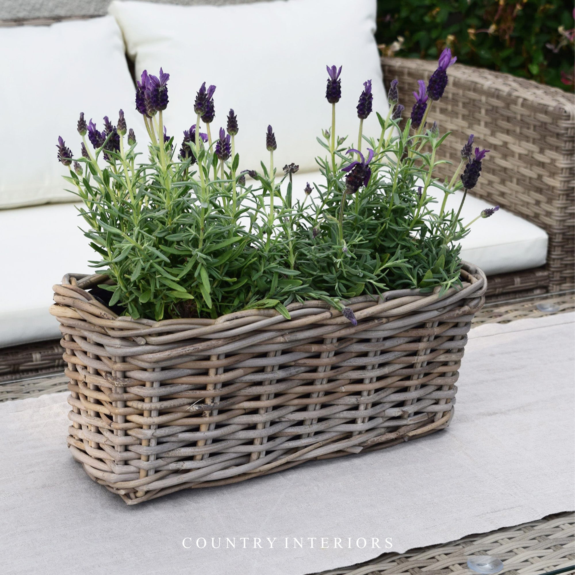 Rectangular Rattan Planter