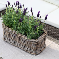 Rectangular Rattan Planter