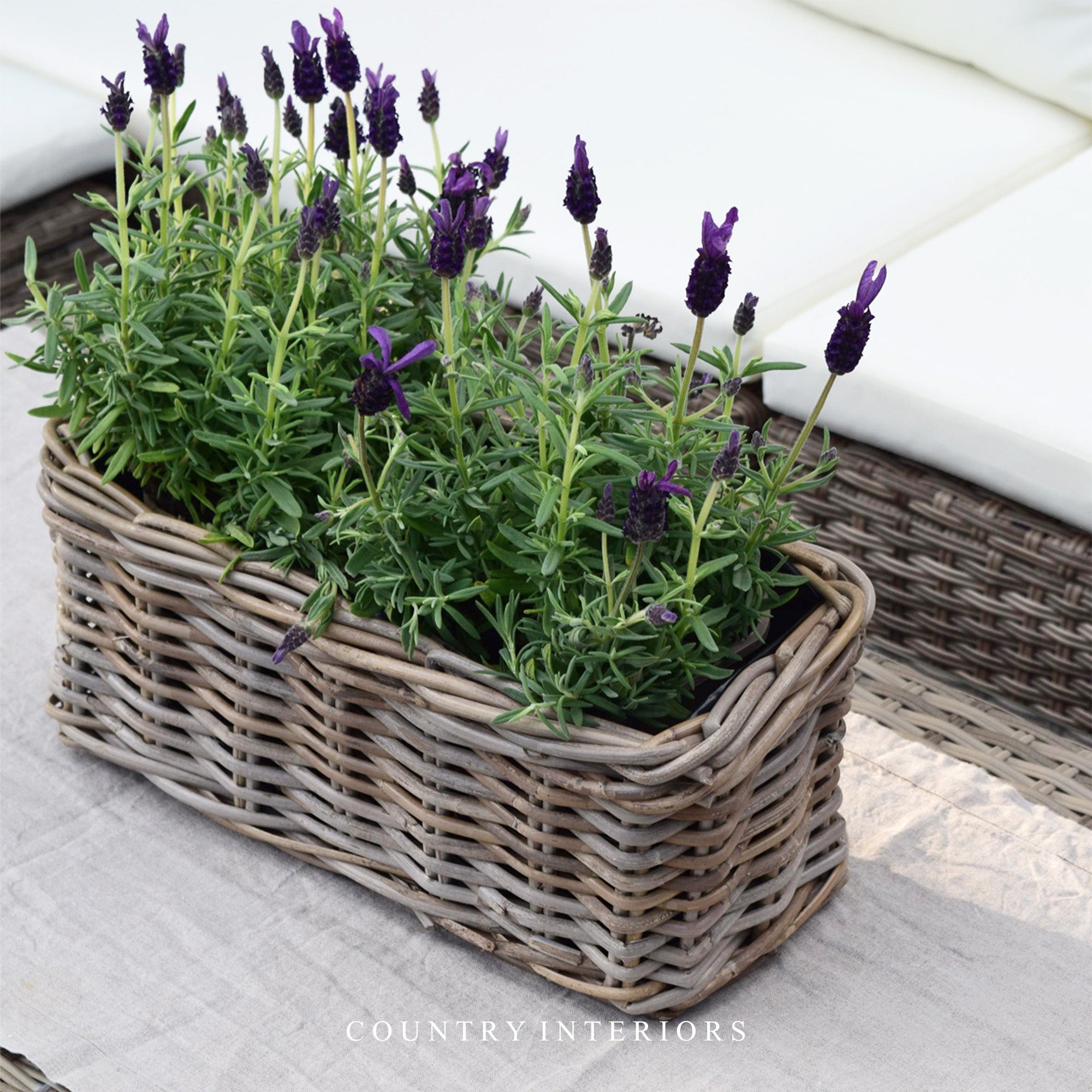 Rectangular Rattan Planter