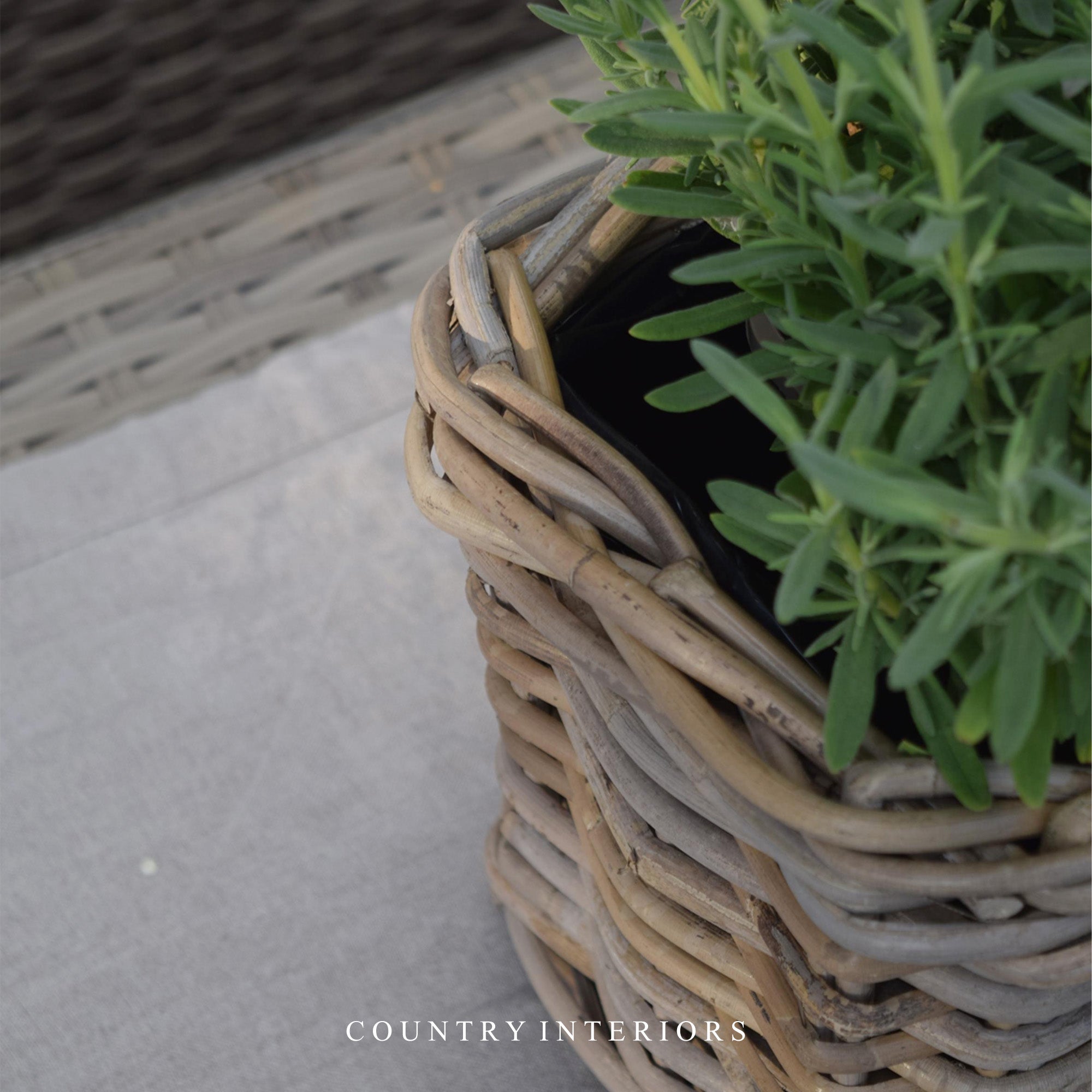 Rectangular Rattan Planter