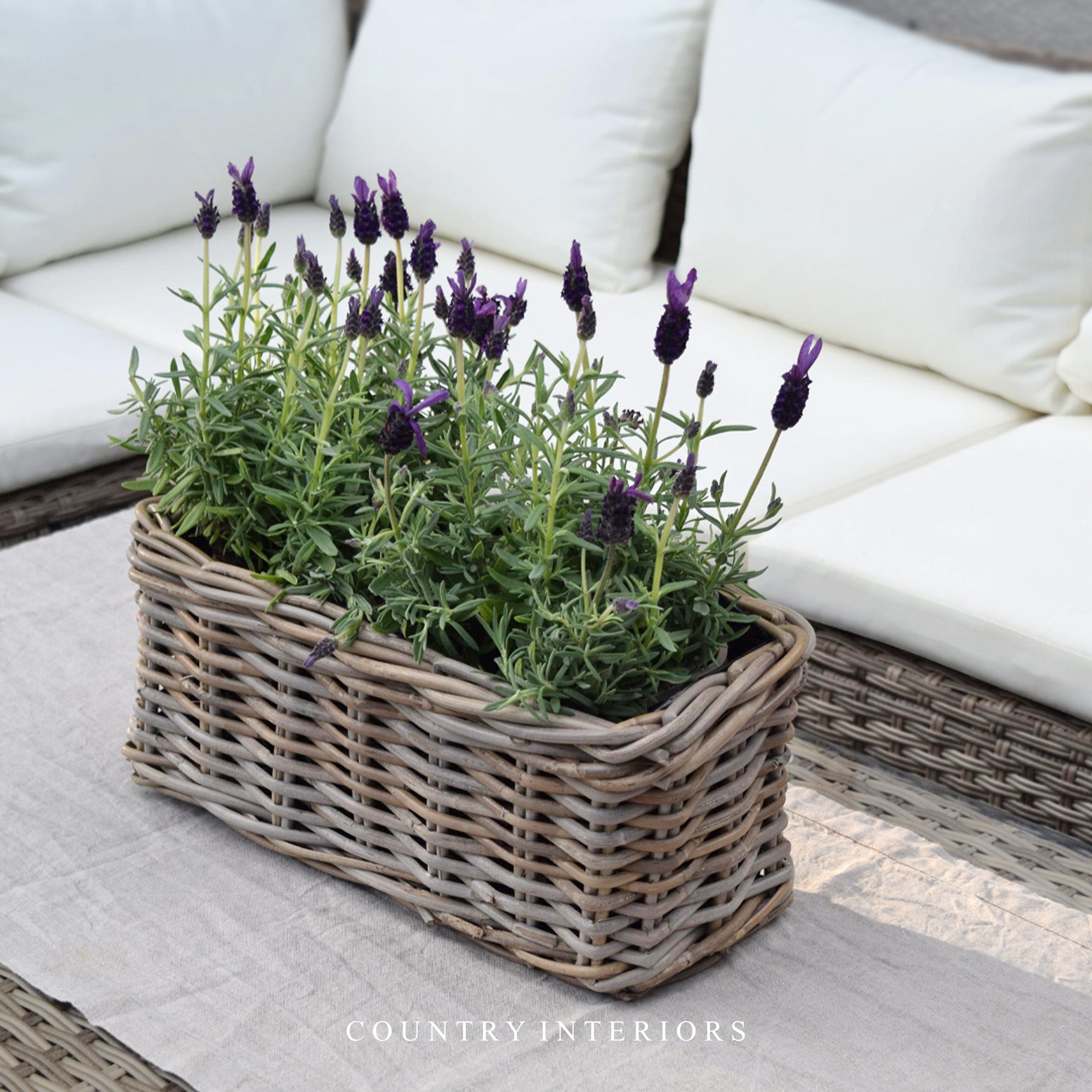 Rectangular Rattan Planter
