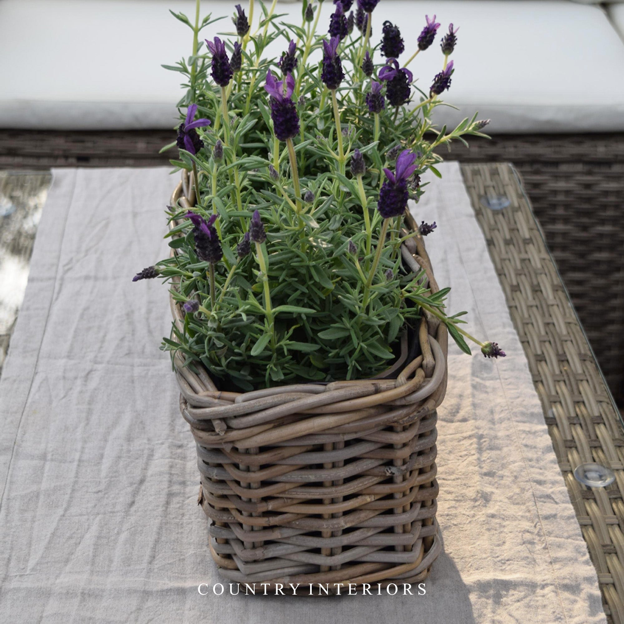 Rectangular Rattan Planter