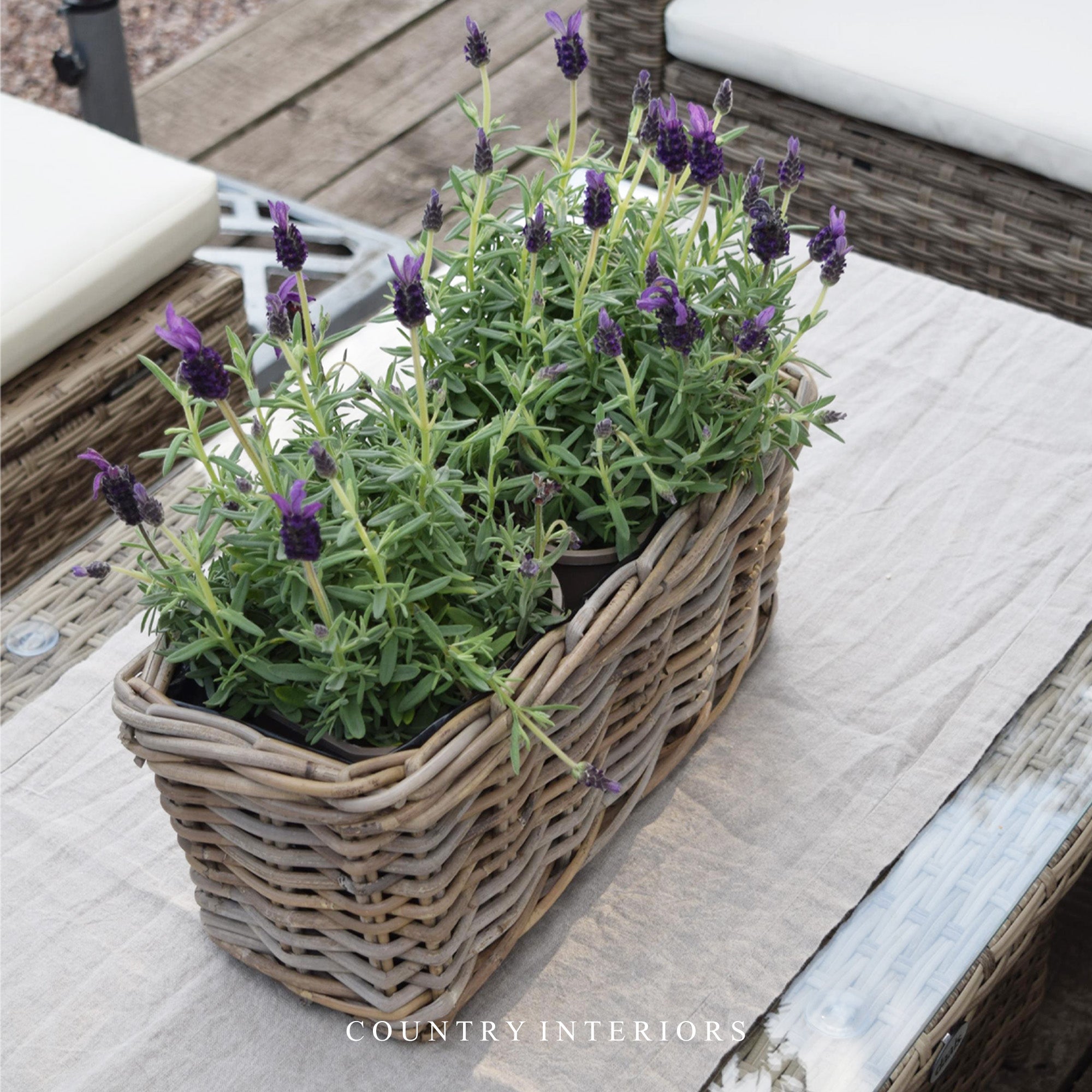 Rectangular Rattan Planter
