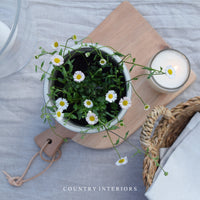 Ceramic Marmalade Jar