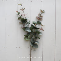 Natural Blush Eucalyptus Spray - 85cm