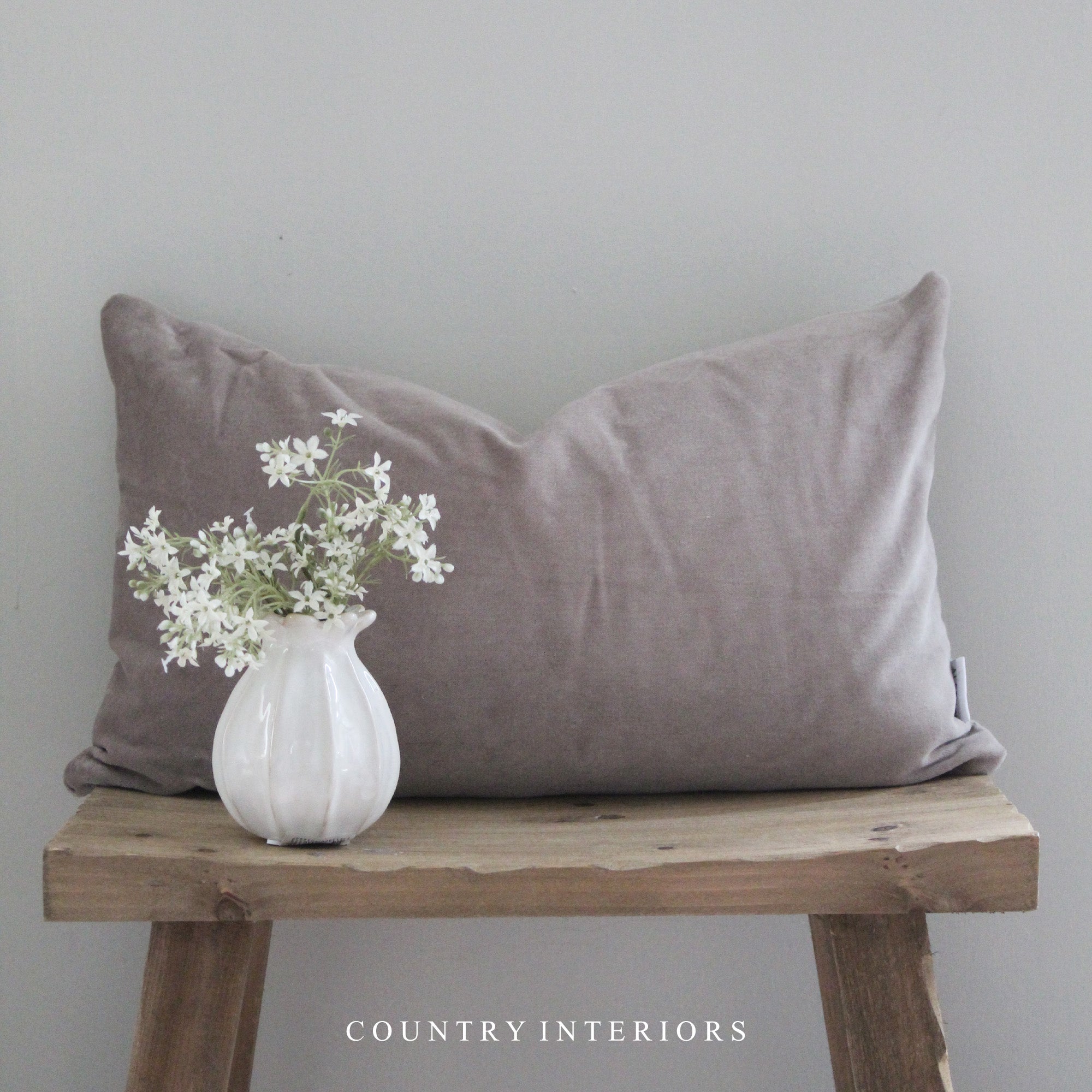 Velvet Cushion in Taupe Feather Inner