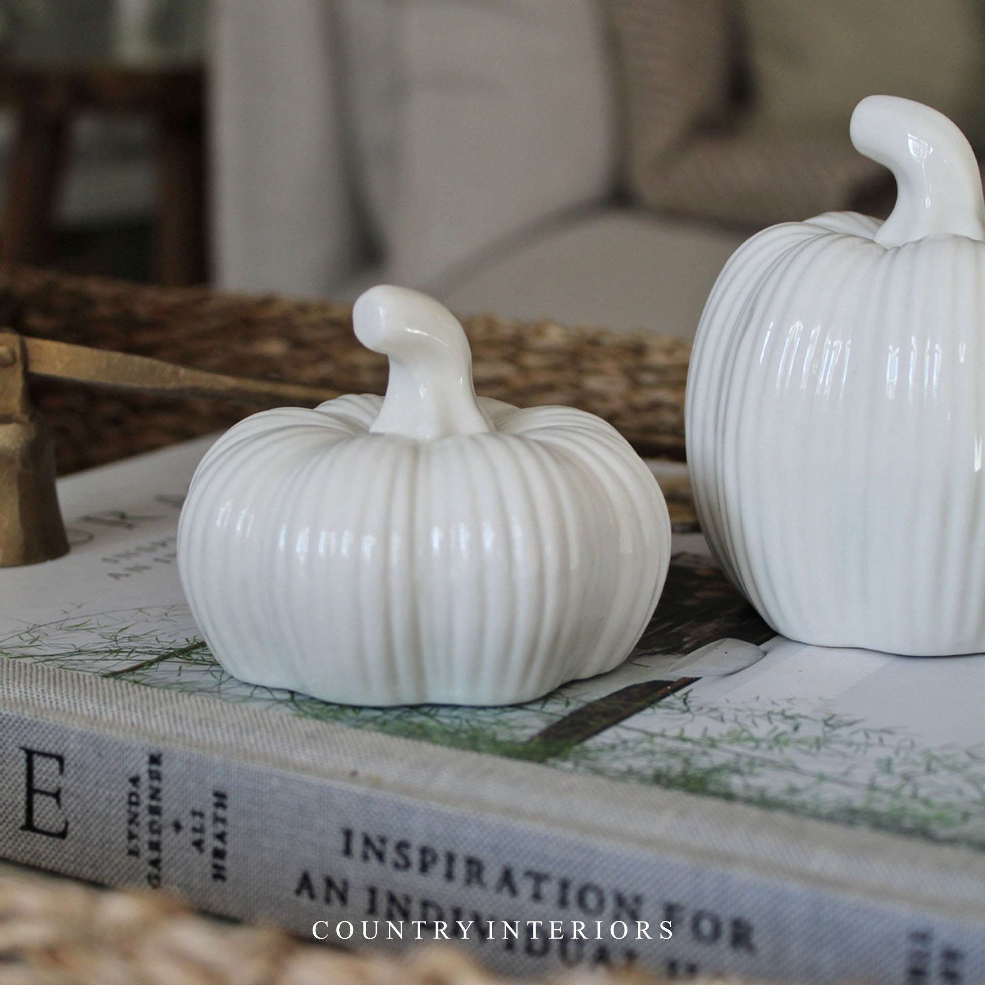 Ceramic Pumpkins - Two Sizes