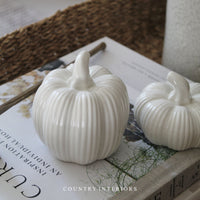 Ceramic Pumpkins - Two Sizes