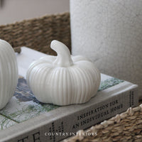 Ceramic Pumpkins - Two Sizes