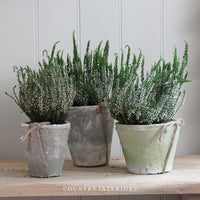 Burford Aged Stone Pot - Various Sizes