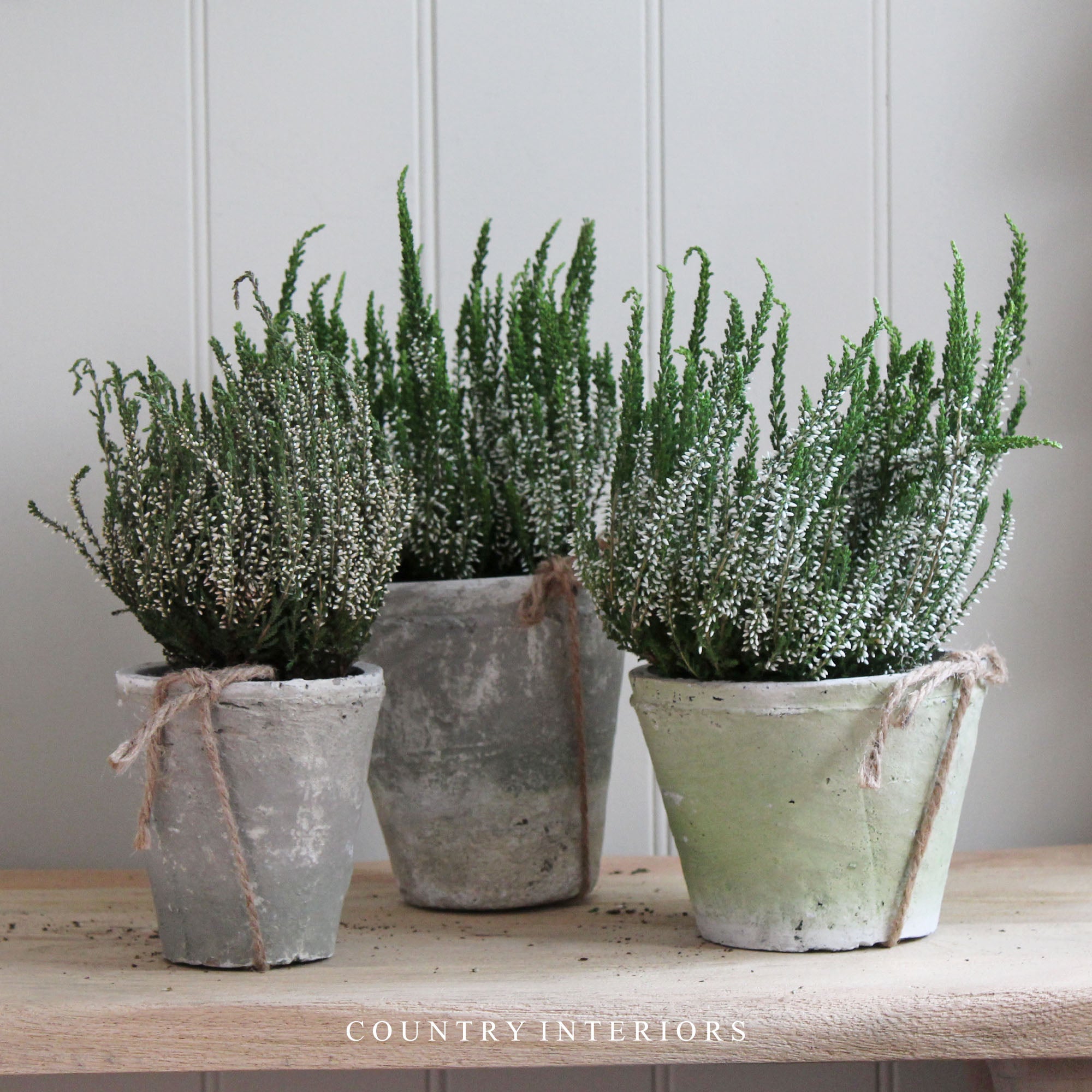 Burford Aged Stone Pot - Various Sizes