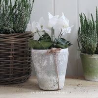 Burford Aged Stone Pot - Various Sizes