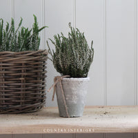 Burford Aged Stone Pot - Various Sizes