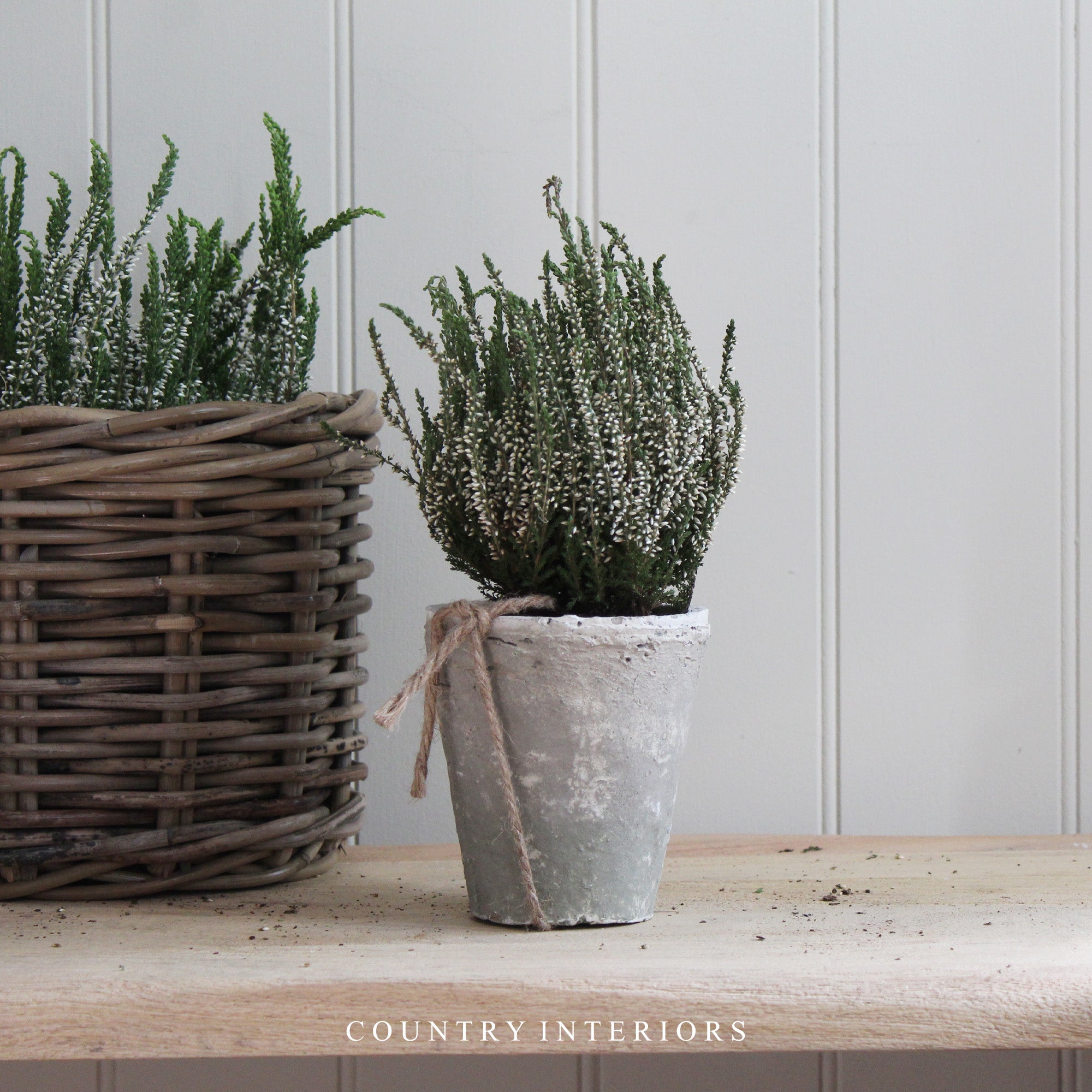 Burford Aged Stone Pot - Various Sizes