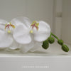 Faux White Orchid Stem - 58cm
