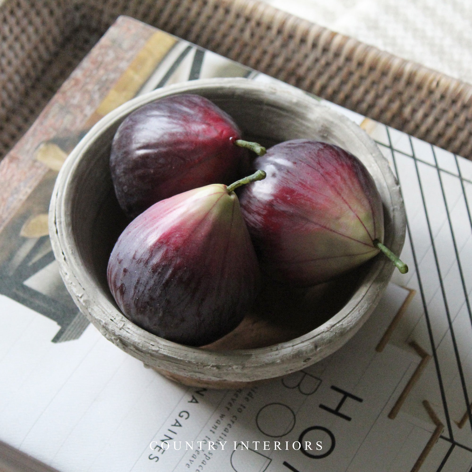 Faux Fig - Two Assorted Colours