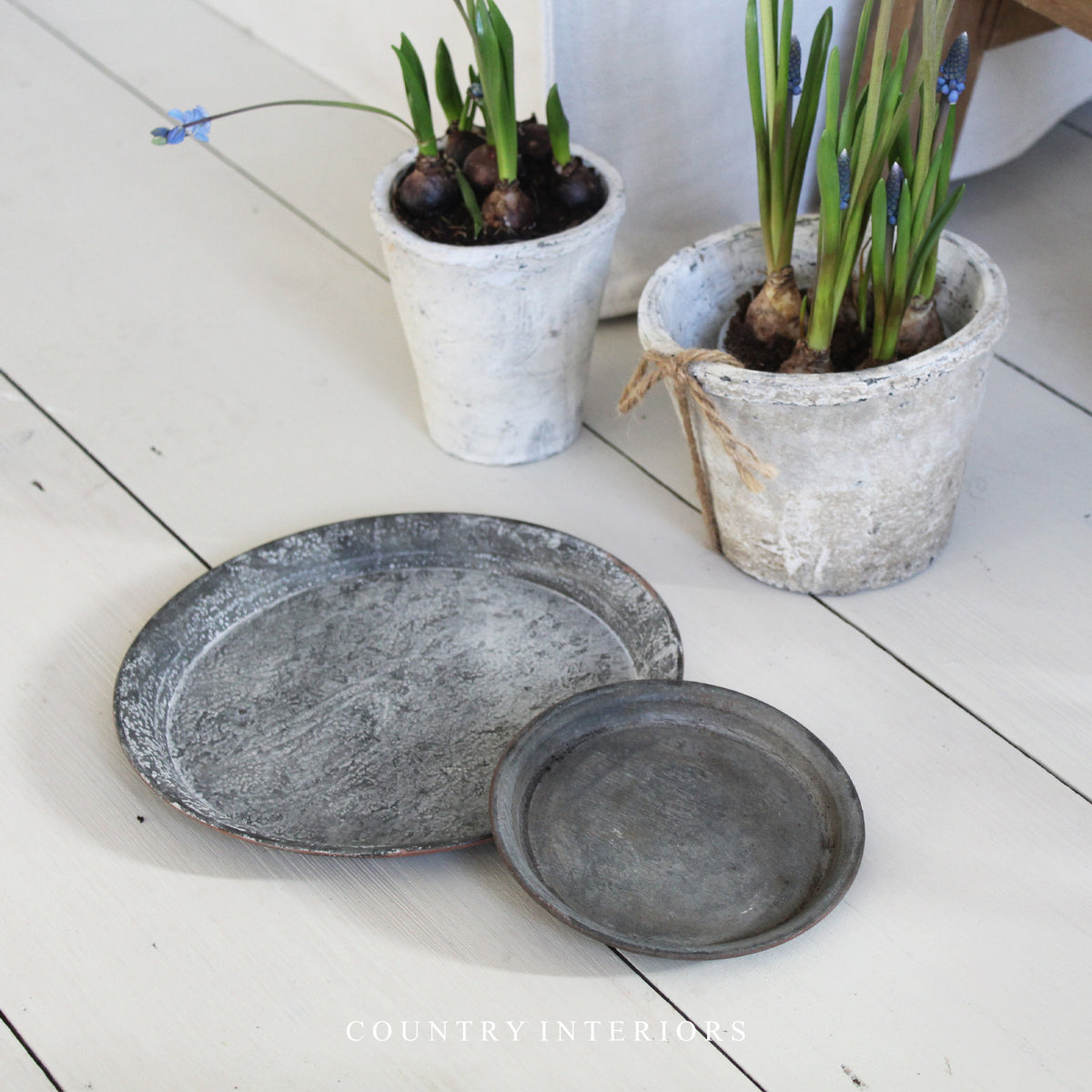 Zinc Plate / Saucer - Two Sizes