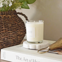 White Marble Scallop Coasters - Set of Four