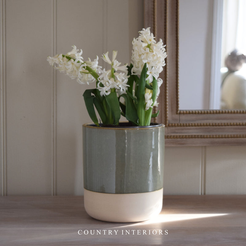 Compton Pot - Two Sizes