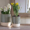 Compton Pot - Two Sizes