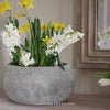 Hampton Terracotta Planter