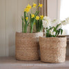Kington Pot with Liner - Two Sizes