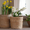 Kington Pot with Liner - Two Sizes