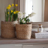 Kington Pot with Liner - Two Sizes