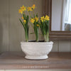 Charlbury Terracotta Plant Pot