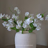White Sweetpea Spray - 60cm