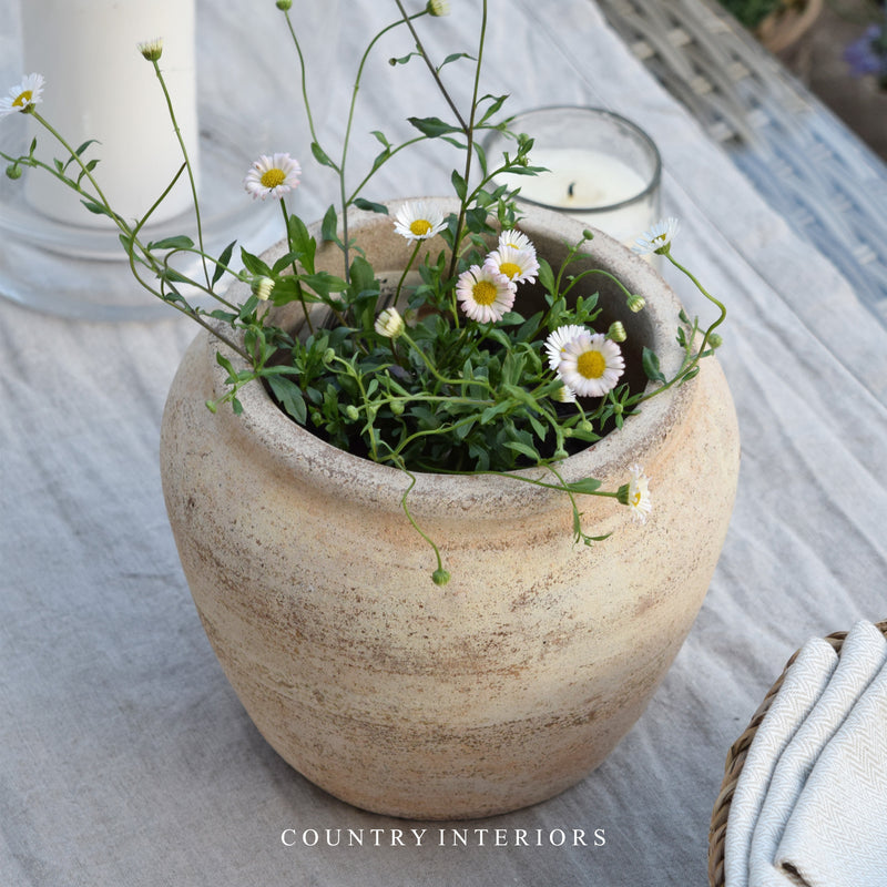 potted chamomile plant Huxley Terracotta Pot Natural – Country Interiors