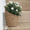 Seagrass hanging baskets - Two sizes