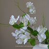 White Sweetpea Spray - 60cm