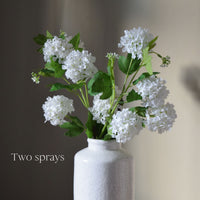 Faux Snowball Viburnum Spray in Cream - Five Heads