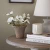 Redstone Pot with Frill Trim