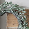 Frosted Mistletoe Wreath - 50cm