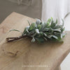 Hanging Frosted Mistletoe