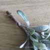 Hanging Frosted Mistletoe