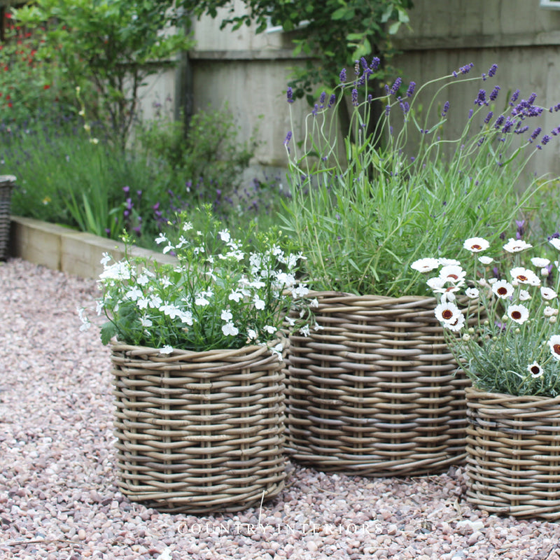 Round Rattan Planters - Three Sizes – Country Interiors