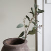 Soft Green Seeded Eucalyptus Spray -  67cm