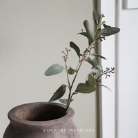 Soft Green Seeded Eucalyptus Spray -  67cm