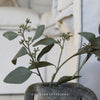 Soft Green Seeded Eucalyptus Spray -  67cm