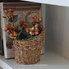 Seagrass hanging baskets - Two sizes