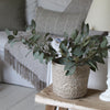 Soft Green Seeded Eucalyptus Spray -  67cm