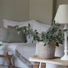 Soft Green Seeded Eucalyptus Spray -  67cm