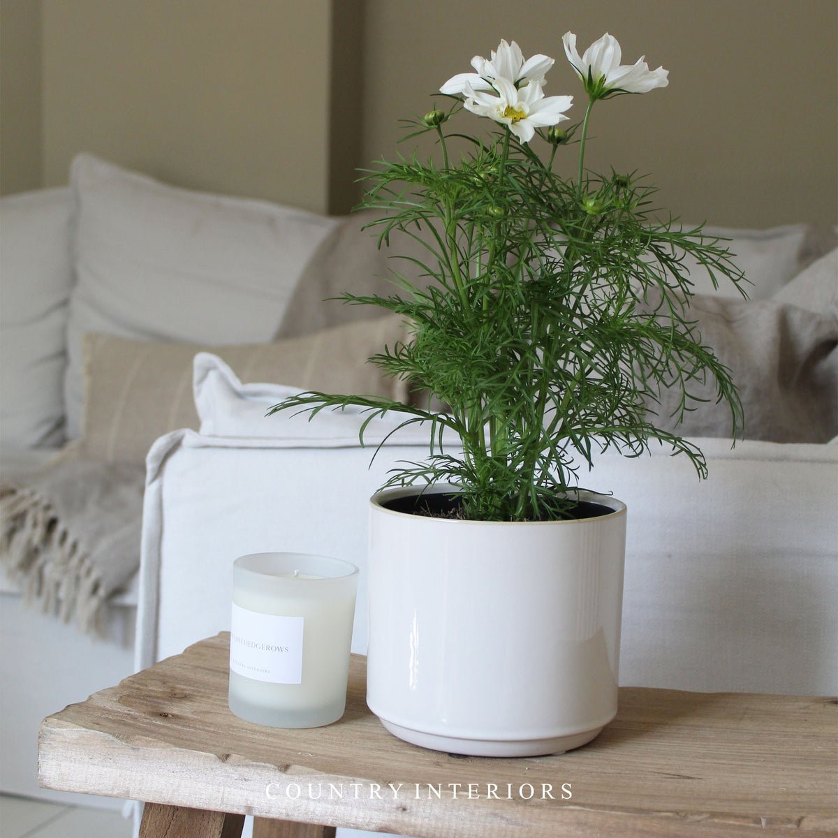 Hanwell Pot in White - Two Sizes