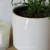 Hanwell Pot in White - Two Sizes