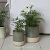 Compton Pot - Two Sizes
