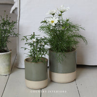 Compton Pot - Two Sizes